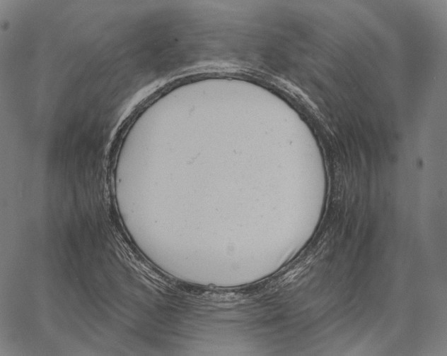 X0000062601168200601181557