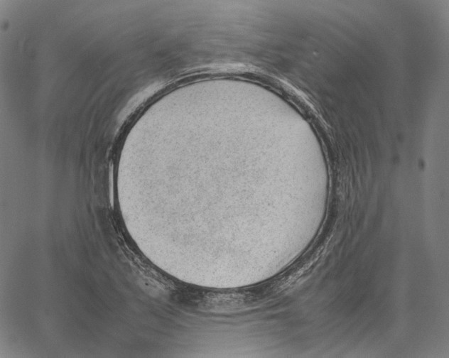 X0000062601171200601181557
