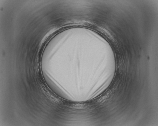 X0000062601172200601181557