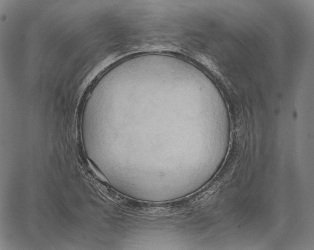 X0000062601173200601181557