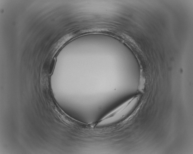 X0000062601177200601181557