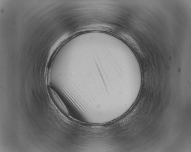 X0000062601180200601181557