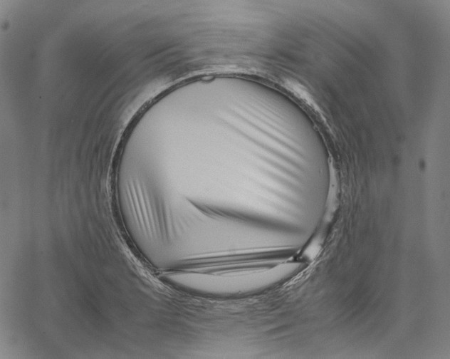 X0000062601181200601181557