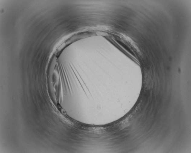 X0000062601184200601181557