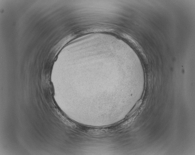 X0000062601185200601181557