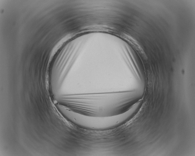 X0000062601188200601181557