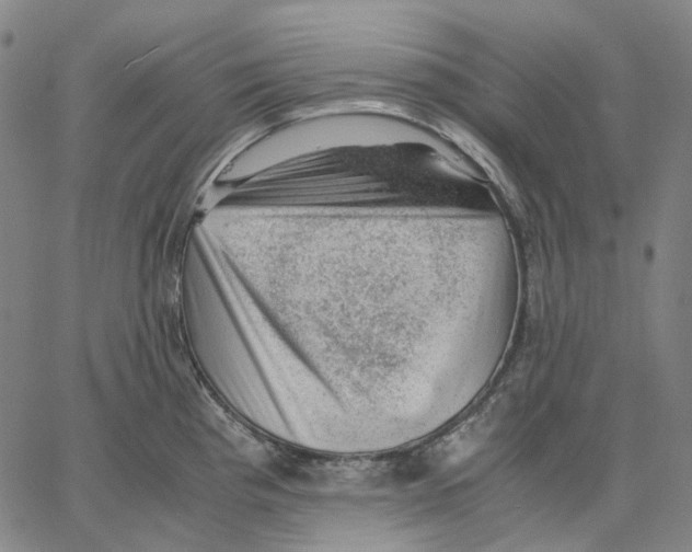 X0000062601193200601181557
