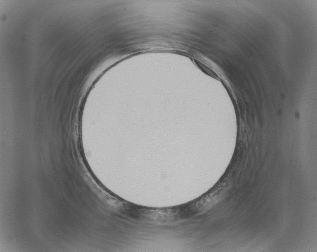X0000062601195200601181556