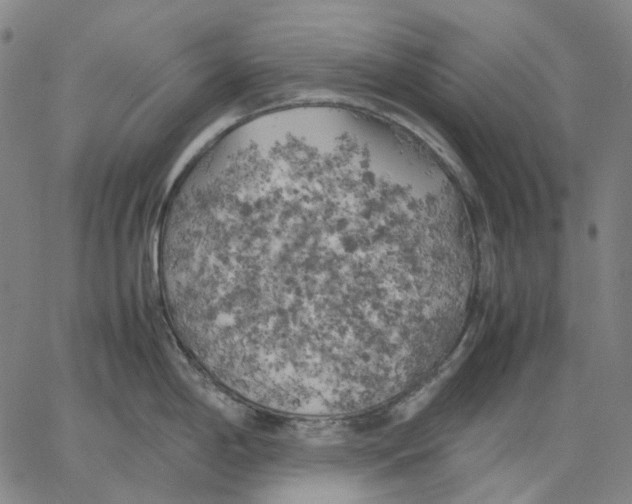 X0000062601198200601181556