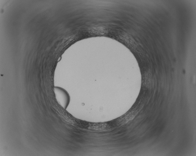 X0000062601201200601181556