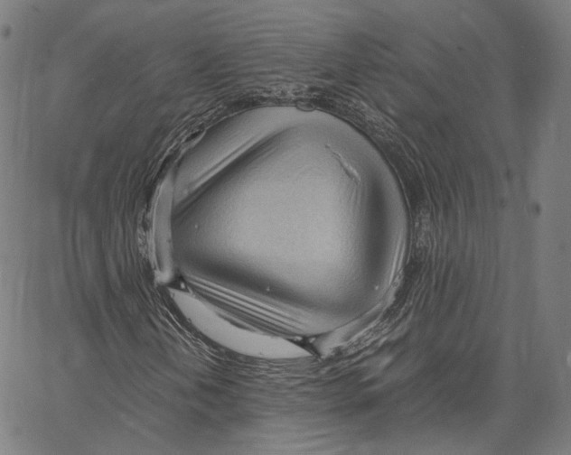 X0000062601202200601181556