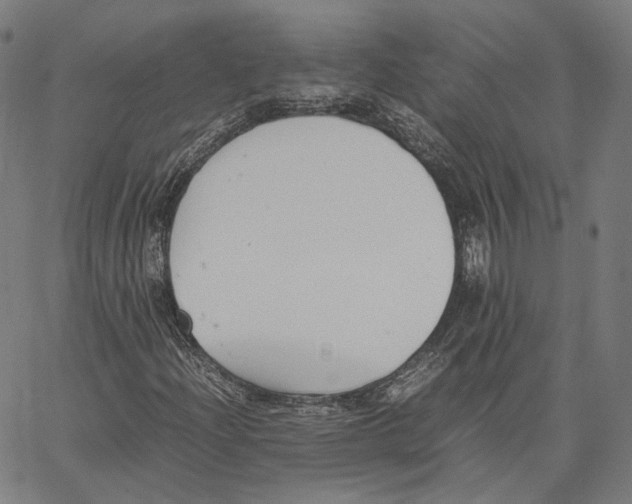 X0000062601204200601181556