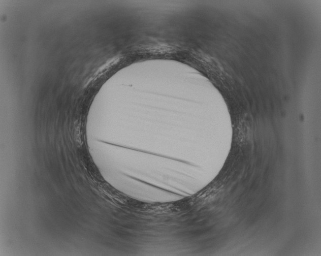 X0000062601205200601181556