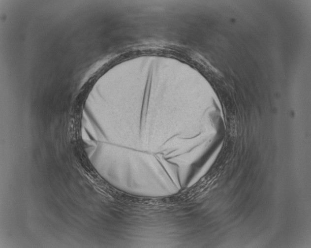 X0000062601208200601181556