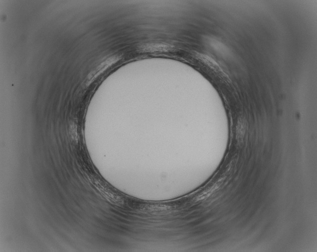 X0000062601209200601181556