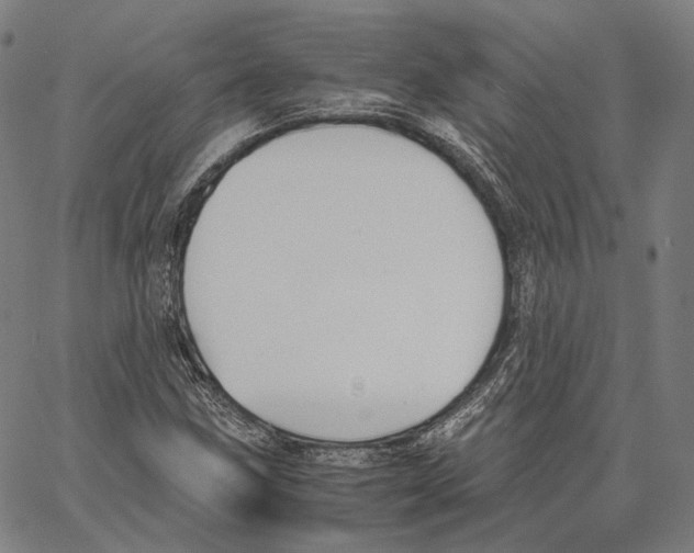 X0000062601211200601181556