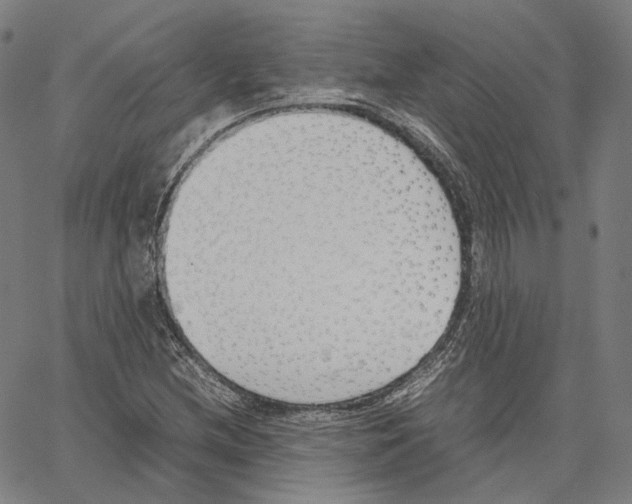 X0000062601212200601181556