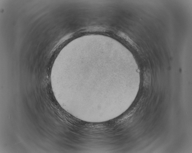 X0000062601213200601181556