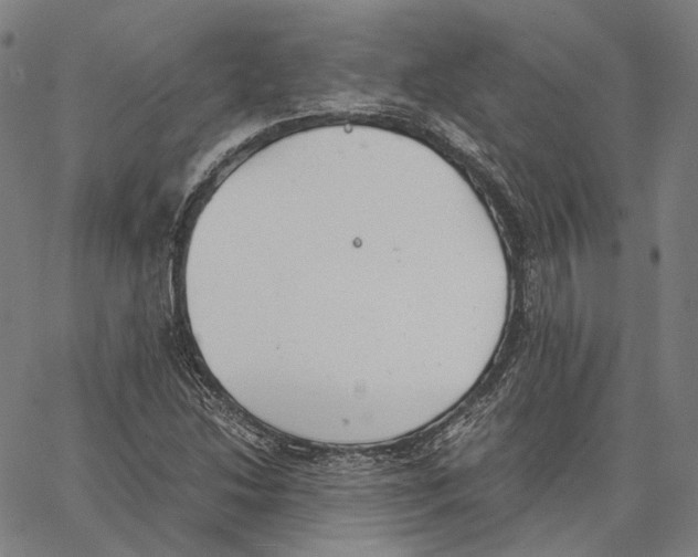 X0000062601214200601181556
