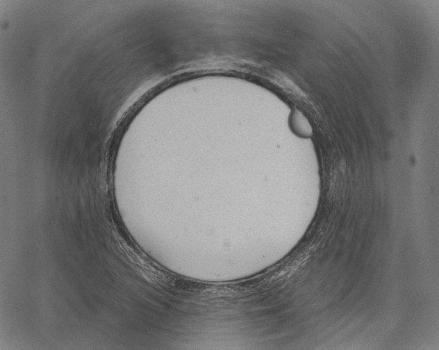 X0000062601216200601181556