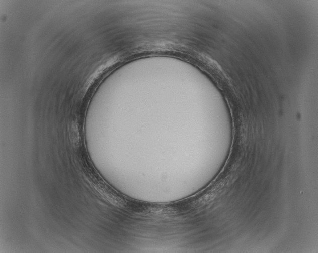 X0000062601218200601181556