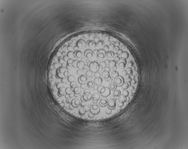 X0000062601220200601181556