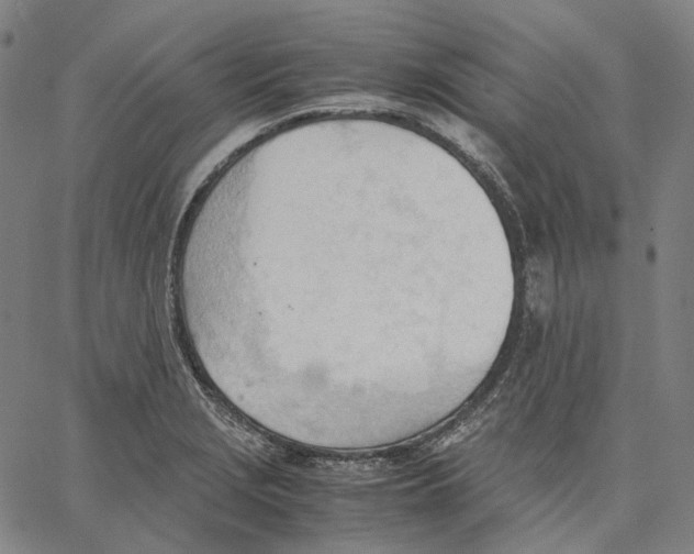 X0000062601229200601181556