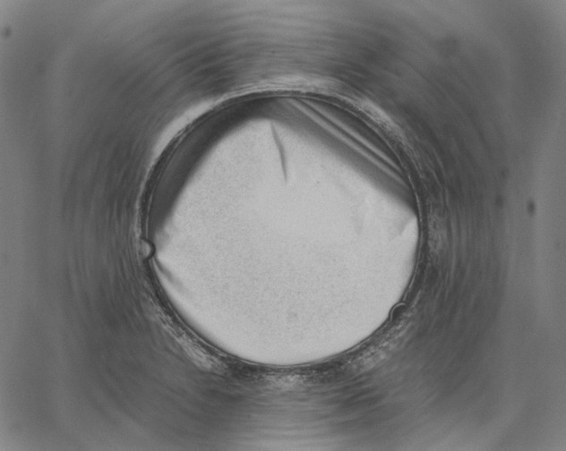 X0000062601230200601181556