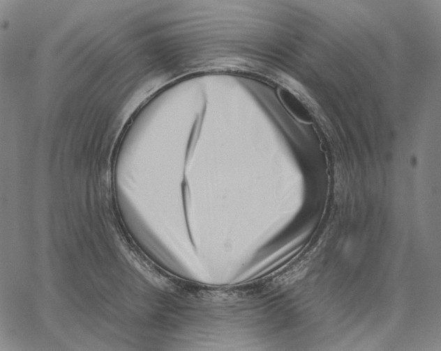 X0000062601234200601181556