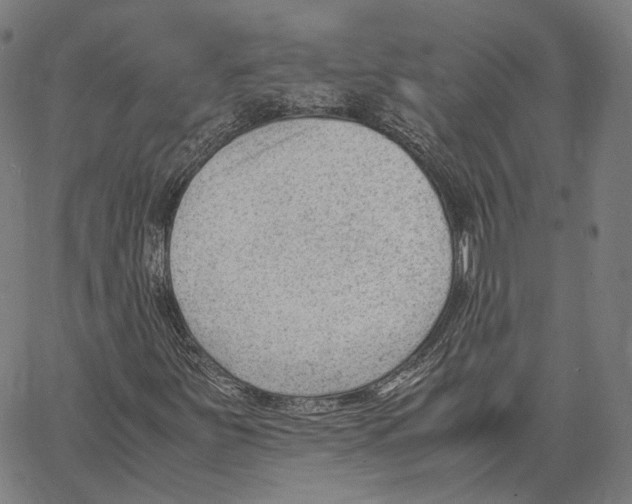 X0000062601251200601181556
