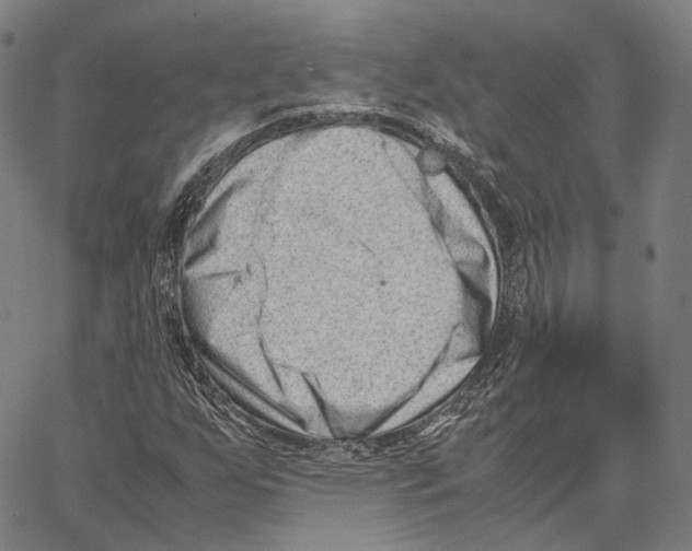 X0000062601255200601181556