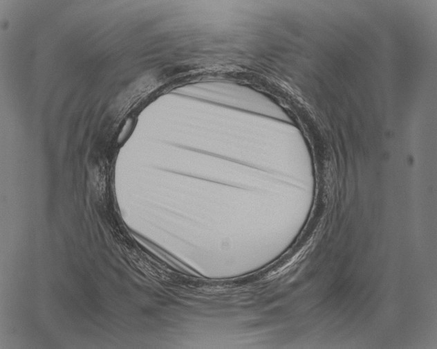 X0000062601257200601181555