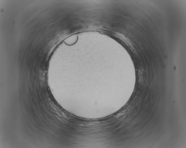 X0000062601260200601181555