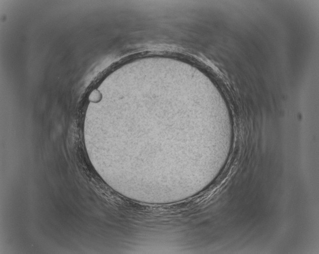 X0000062601263200601181555
