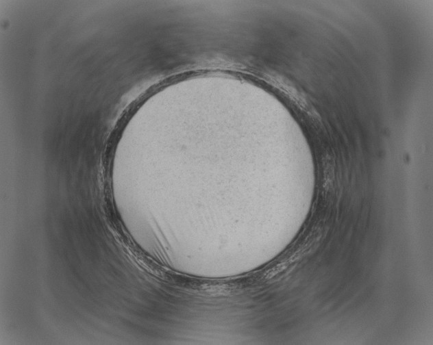 X0000062601264200601181555