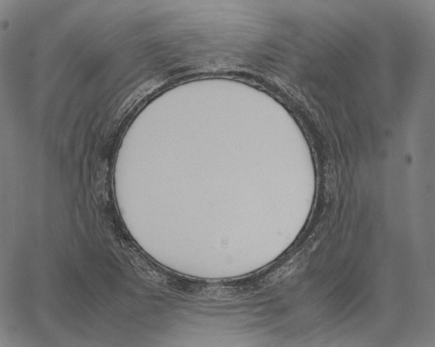 X0000062601265200601181555