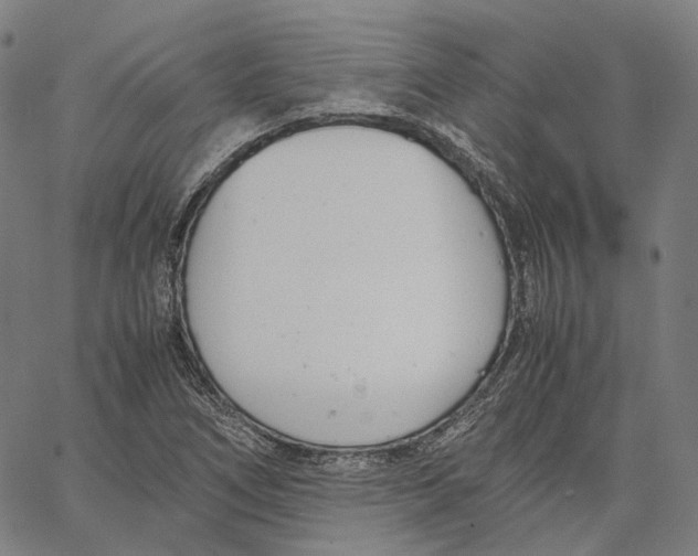 X0000062601266200601181555