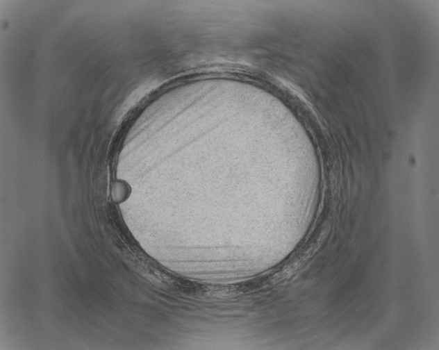 X0000062601267200601181555