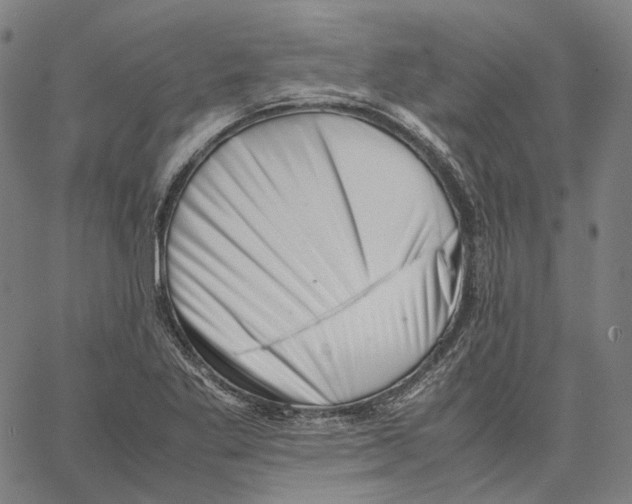 X0000062601269200601181555