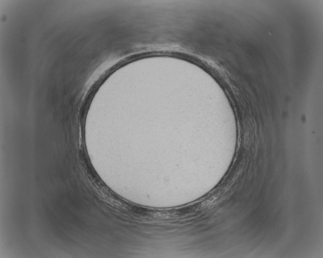 X0000062601271200601181555