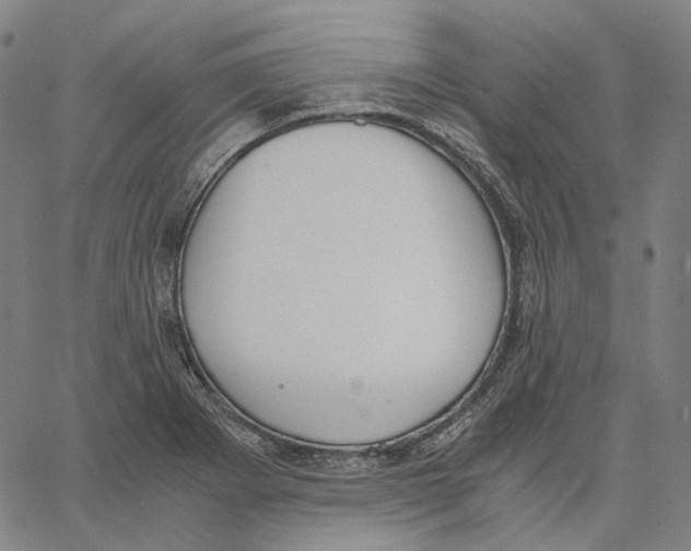 X0000062601273200601181555