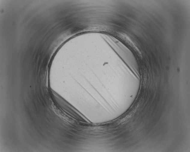 X0000062601276200601181555