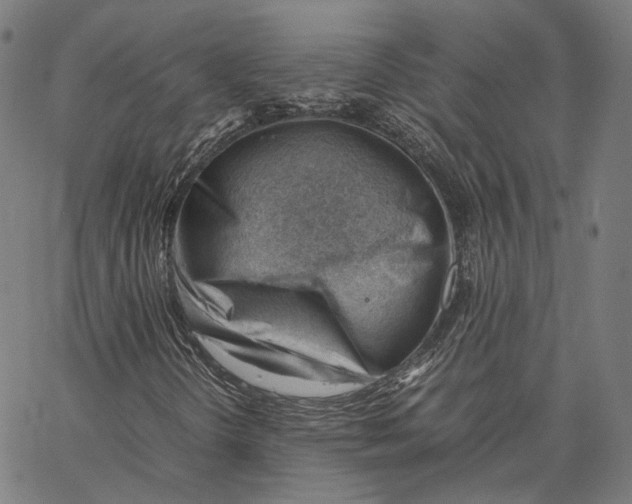 X0000062601298200601181554