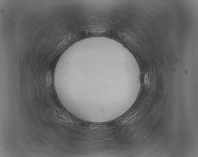 X0000062601299200601181554