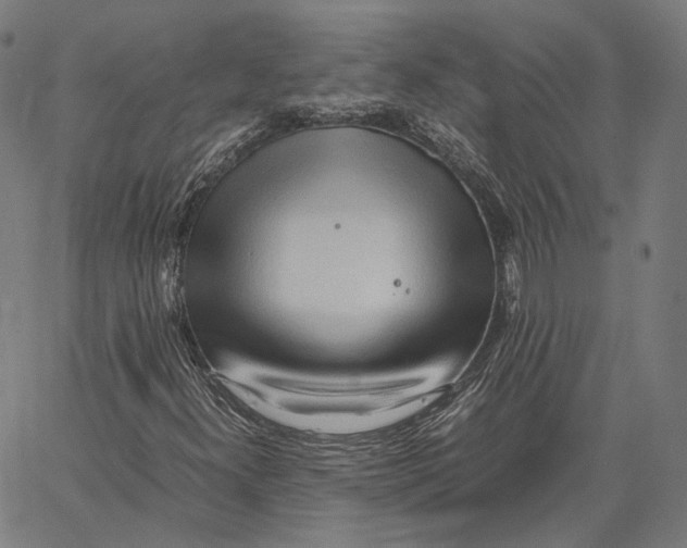 X0000062601300200601181554