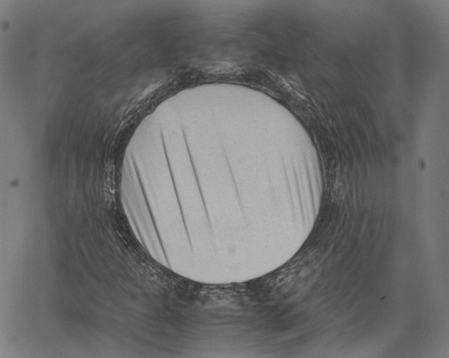 X0000062601301200601181554