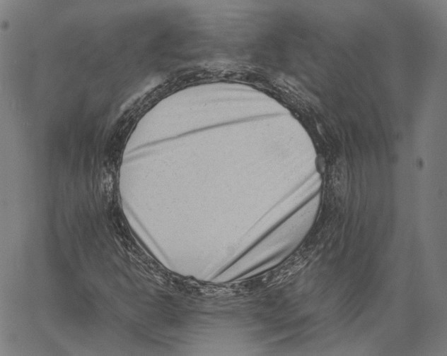 X0000062601302200601181554