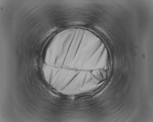 X0000062601305200601181554