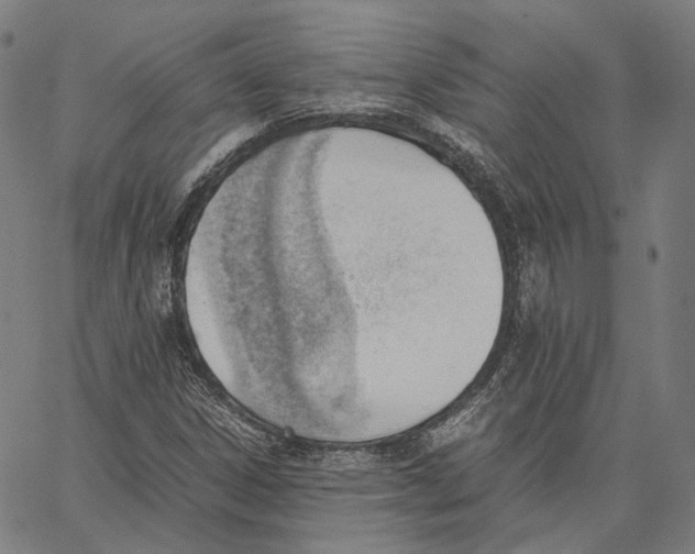 X0000062601306200601181554