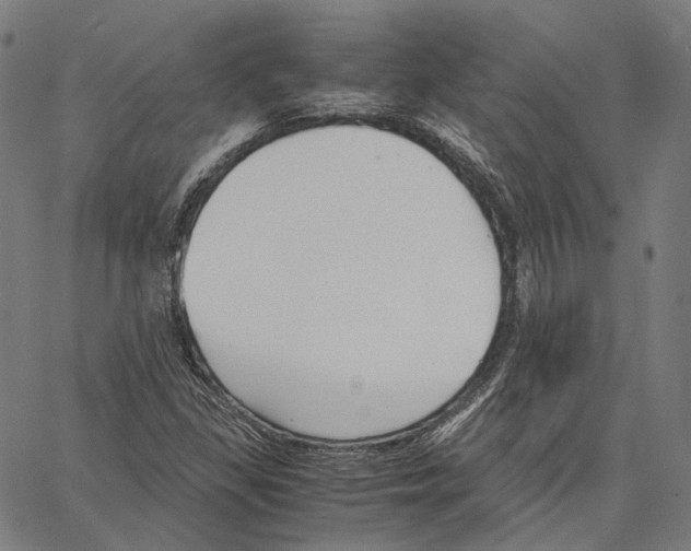 X0000062601309200601181554